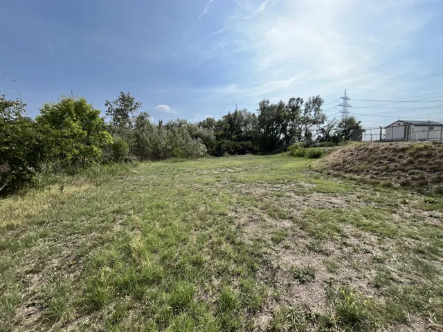 Eladó mezőgazdasági ingatlan Szeged 7815 nm