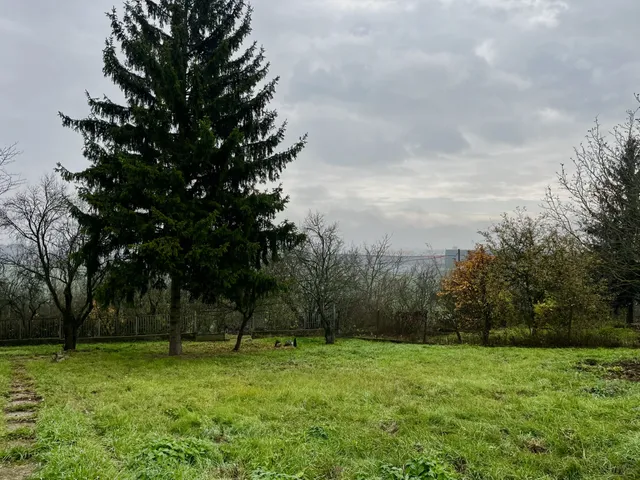 Eladó mezőgazdasági ingatlan Szirmabesenyő 3150 nm