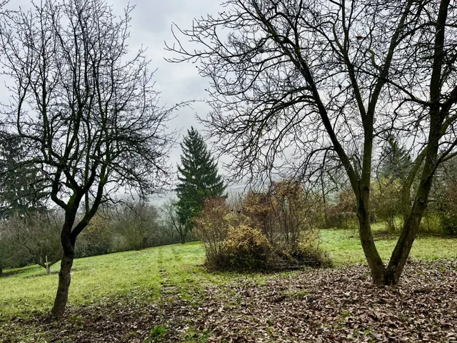 Eladó mezőgazdasági ingatlan Szirmabesenyő 3150 nm