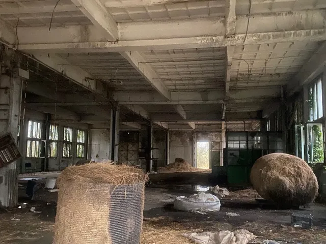 Eladó telek Ráckeve 10056 nm