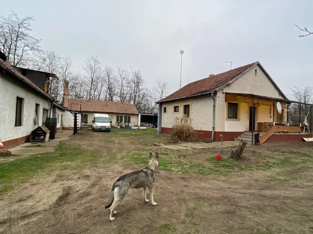 Eladó mezőgazdasági ingatlan Lajosmizse 65 nm