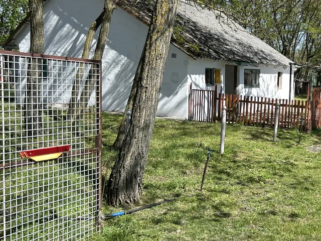 Eladó mezőgazdasági ingatlan Lajosmizse 55 nm