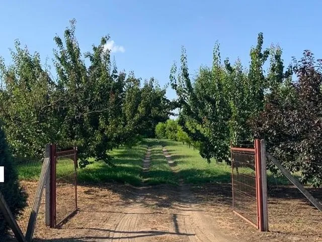 Eladó telek Nyíregyháza, Sóstóhegy 3930 nm