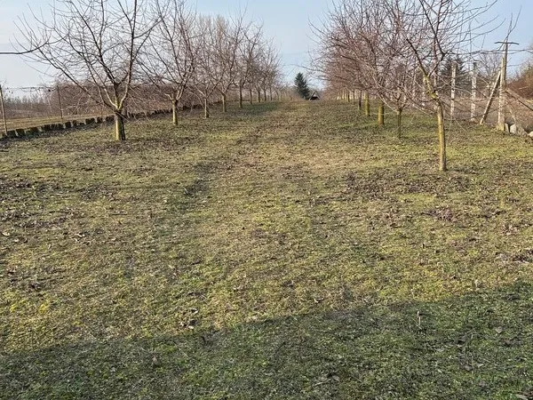 Eladó telek Nyíregyháza, Sóstóhegy 3930 nm