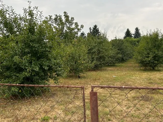 Eladó telek Ibrány 1811 nm