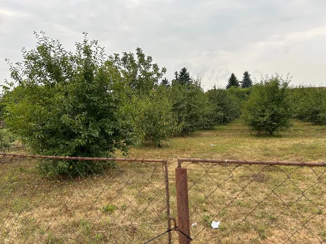 Eladó telek Ibrány, Belváros 1811 nm