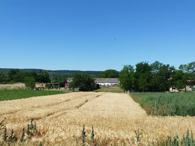 Eladó telek Tényő 998 nm