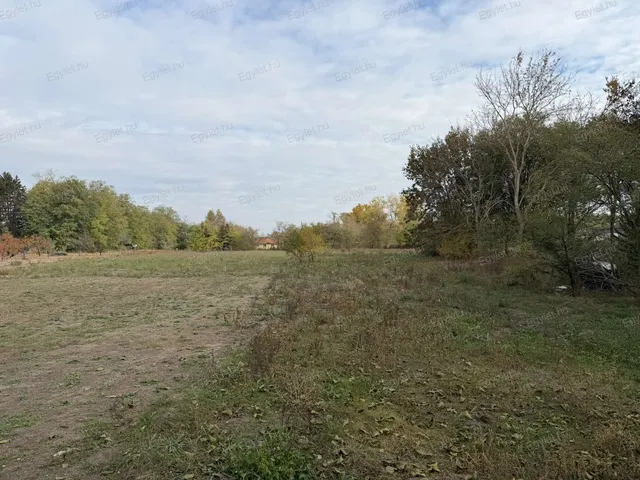 Eladó telek Albertirsa 3723 nm