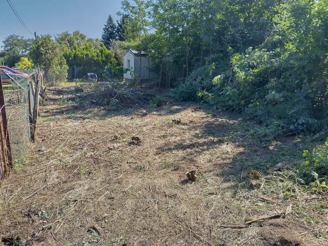 Eladó mezőgazdasági ingatlan Budapest XVII. kerület 3544 nm