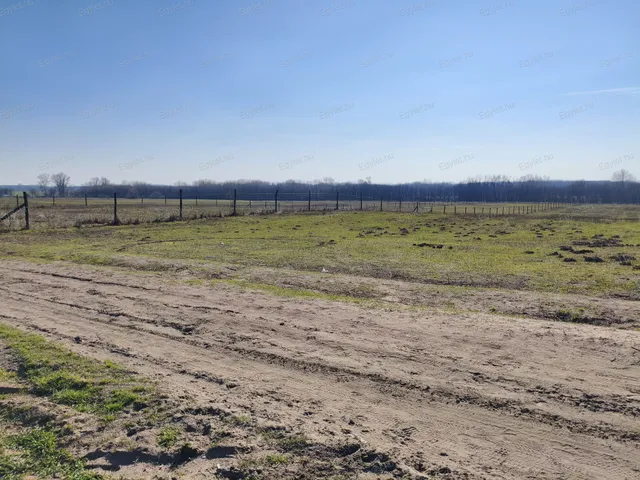 Eladó mezőgazdasági ingatlan Budapest XVII. kerület, Rákoshegy 14747 nm