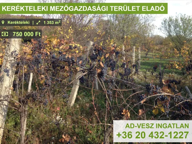 Eladó mezőgazdasági ingatlan Kerékteleki 1353 nm