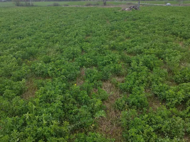 Eladó mezőgazdasági ingatlan Dabas, Felsőbesnyő 3341 nm