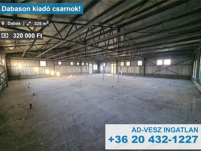 Kiadó kereskedelmi és ipari ingatlan Dabas 325 nm
