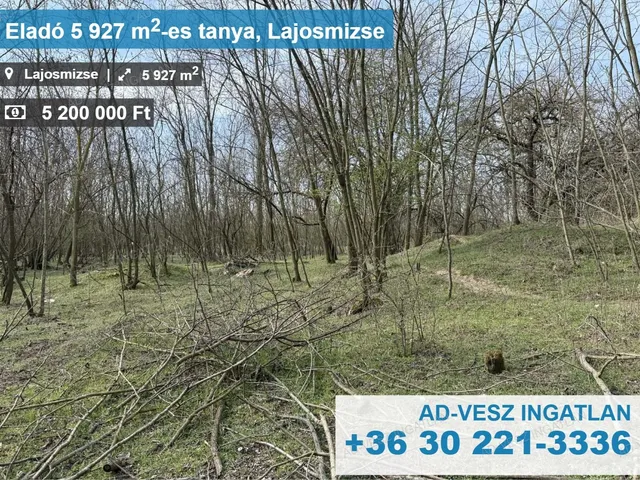 Eladó mezőgazdasági ingatlan Lajosmizse 5927 nm