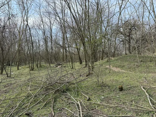 Eladó mezőgazdasági ingatlan Lajosmizse 5927 nm