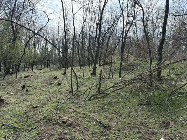 Eladó mezőgazdasági ingatlan Lajosmizse 5927 nm
