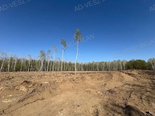 Eladó kereskedelmi és ipari ingatlan Újlengyel 8694 nm