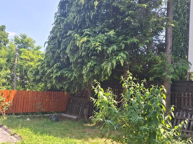 Kiadó lakás Budapest XII. kerület, Kútvölgy, Kútvölgyi út 70 nm