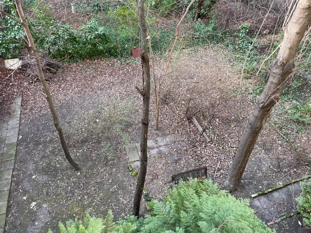 Eladó lakás Budapest XIII. kerület, Újlipótváros 78 nm