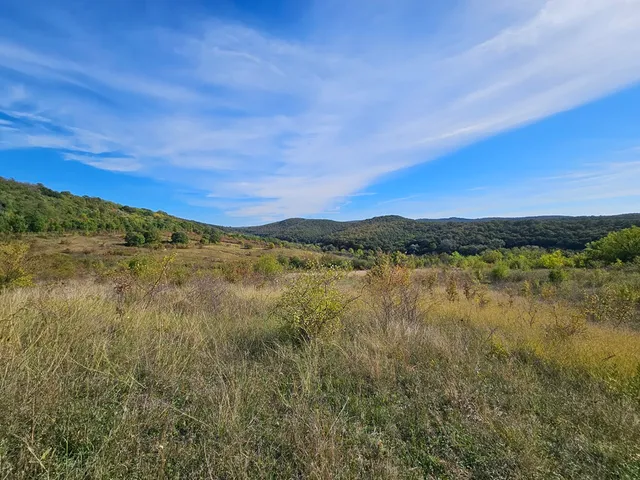 Eladó mezőgazdasági ingatlan Penc