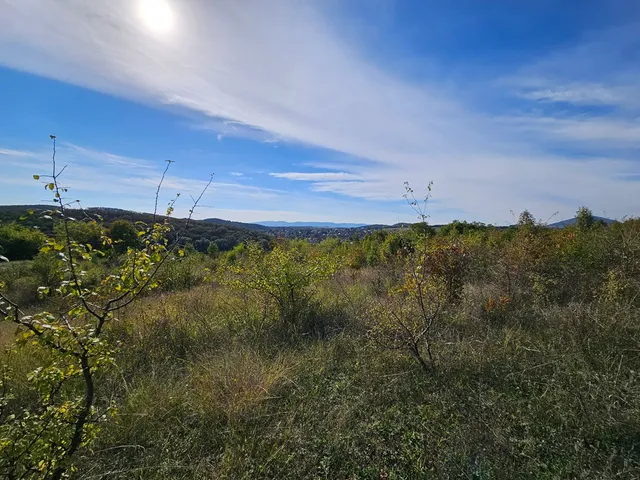 Eladó mezőgazdasági ingatlan Penc