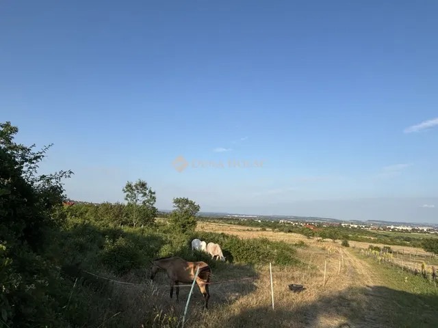 Eladó mezőgazdasági ingatlan Szentendre 5277 nm