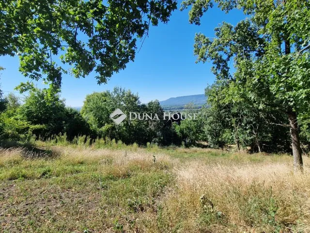 Eladó telek Verőce, Nincs utca 4125 nm