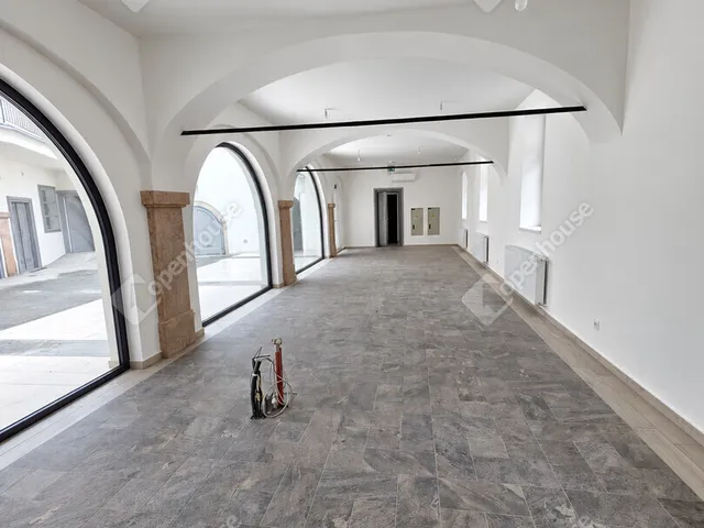Eladó kereskedelmi és ipari ingatlan Győr, Belváros 245 nm