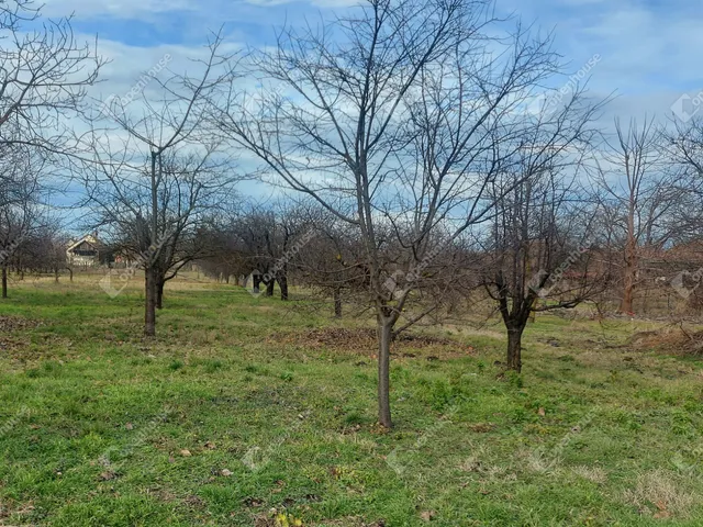 Eladó telek Békéscsaba, Erzsébethely (Jamina) 1079 nm