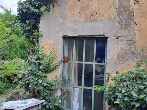 Eladó mezőgazdasági ingatlan Békéscsaba 80 nm