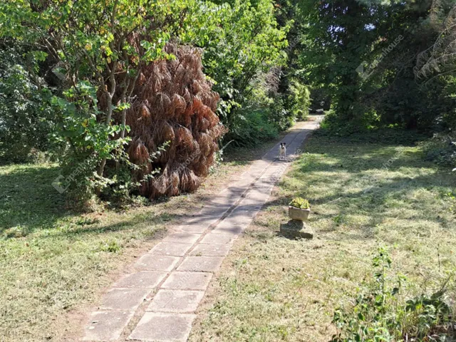 Eladó mezőgazdasági ingatlan Békéscsaba 80 nm