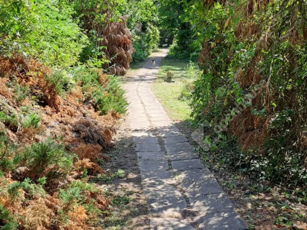 Eladó mezőgazdasági ingatlan Békéscsaba 80 nm