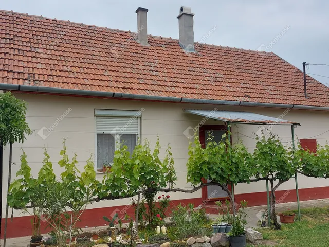Eladó ház Vésztő 130 nm