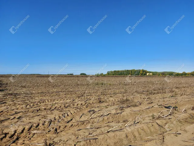 Eladó mezőgazdasági ingatlan Debrecen, Lencztelep 12585 nm