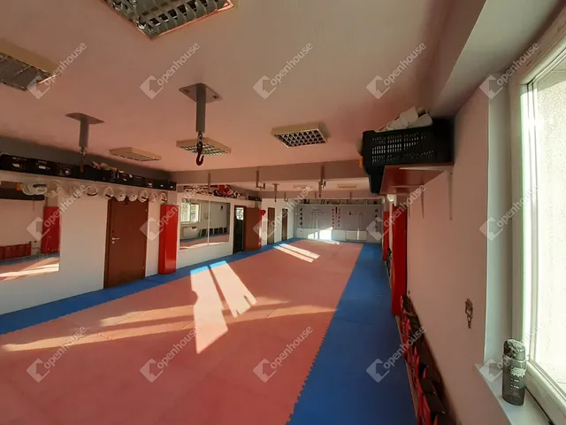 Eladó kereskedelmi és ipari ingatlan Debrecen, Homokkert 206 nm