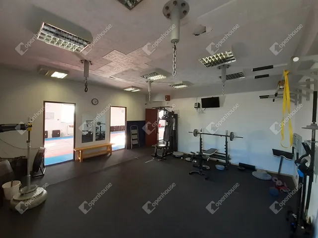 Eladó kereskedelmi és ipari ingatlan Debrecen, Homokkert 206 nm