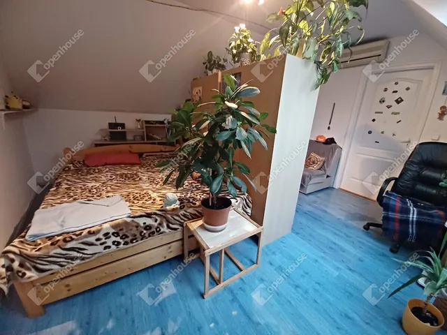 Eladó ház Debrecen, Belváros 133 nm