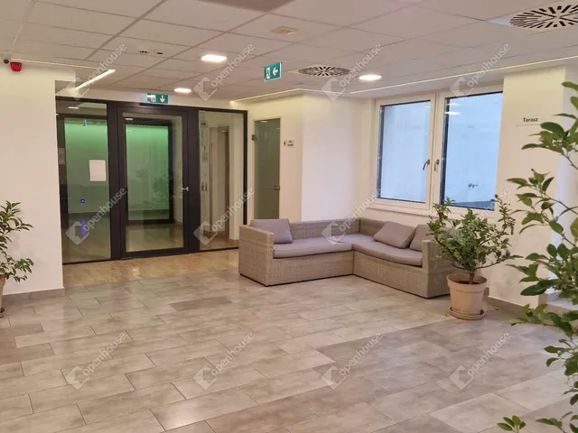 Kiadó kereskedelmi és ipari ingatlan Debrecen, Belváros 20 nm