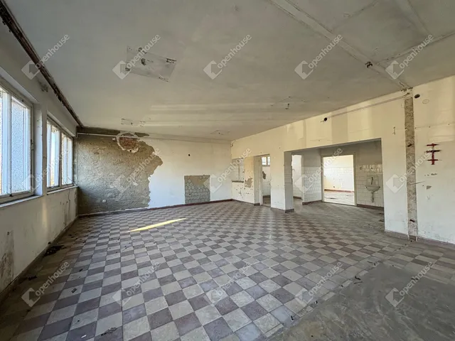 Eladó kereskedelmi és ipari ingatlan Ebes 596 nm