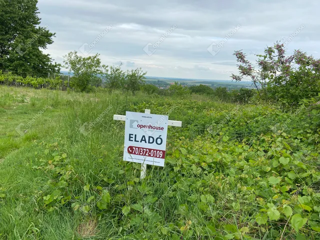 Eladó telek Nyúl 800 nm