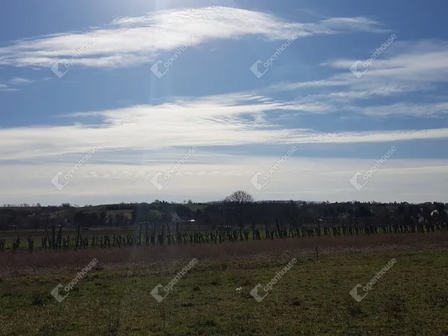 Eladó telek Győr, Ménfőcsanak 4612 nm