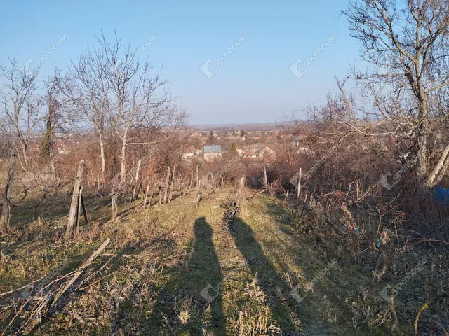 Eladó telek Nyúl 1425 nm