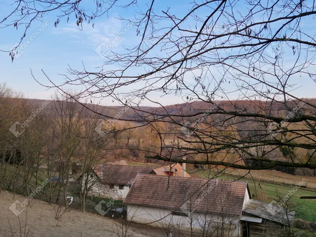 Eladó ház Bakonycsernye 314 nm