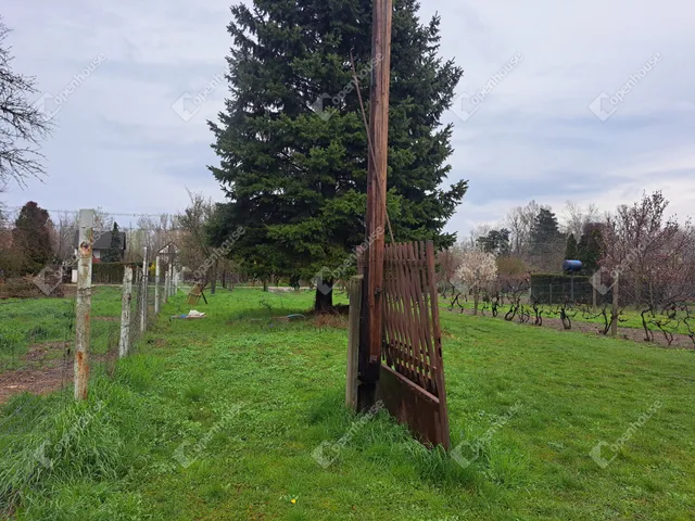 Eladó telek Vámosszabadi 660 nm