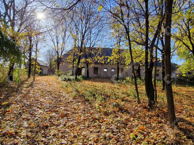 Eladó ház Bőny 267 nm