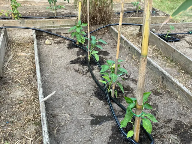 Eladó telek Bőny 811 nm