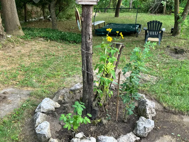 Eladó telek Bőny 811 nm