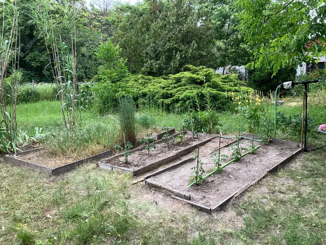 Eladó telek Bőny 811 nm