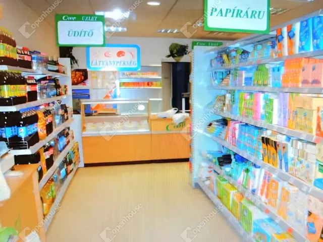 Kiadó kereskedelmi és ipari ingatlan Ács 315 nm