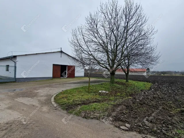 Kiadó kereskedelmi és ipari ingatlan Komárom, Szőny 600 nm